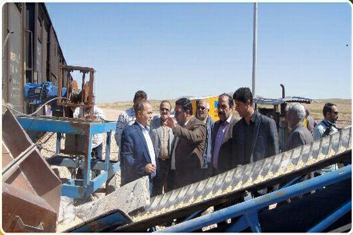 حمل نهاده دامی به همدان