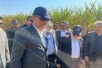 آیین شکرانه برداشت نیشکر با حضور معاون اجرایی رئیس‌جمهور برگزار شد
