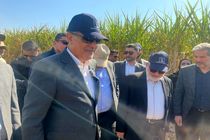 آیین شکرانه برداشت نیشکر با حضور معاون اجرایی رئیس‌جمهور برگزار شد