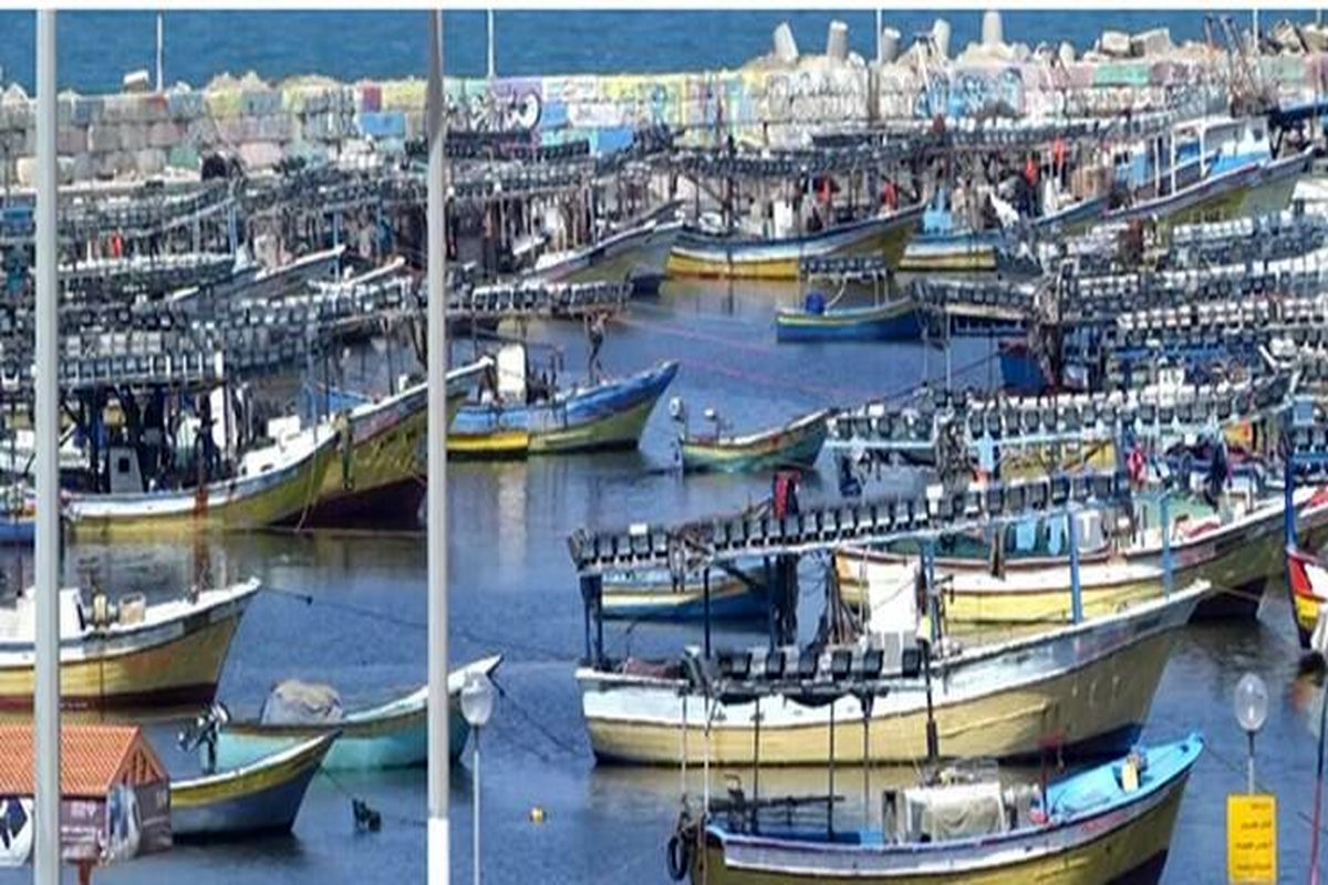 غزه