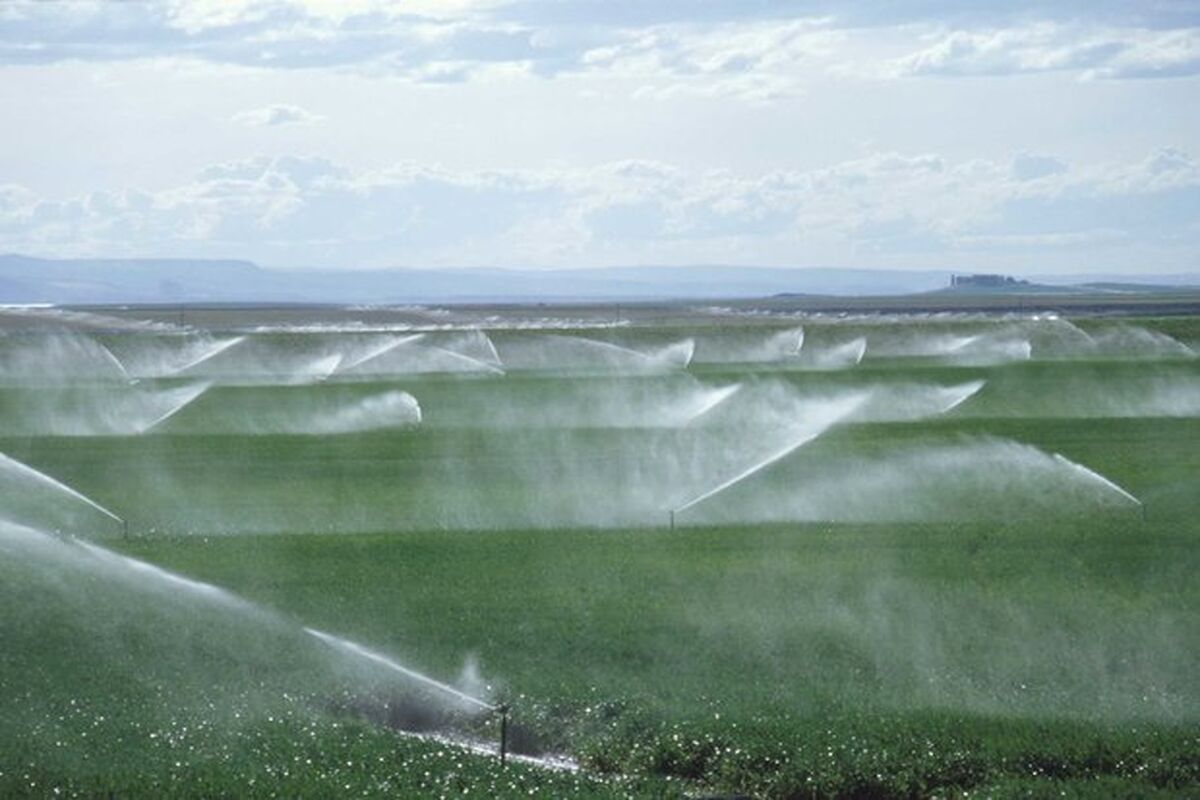 سامانه گرمسیری کرمانشاه