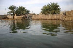 سطح آب تالاب جازموریان افزایش یافت