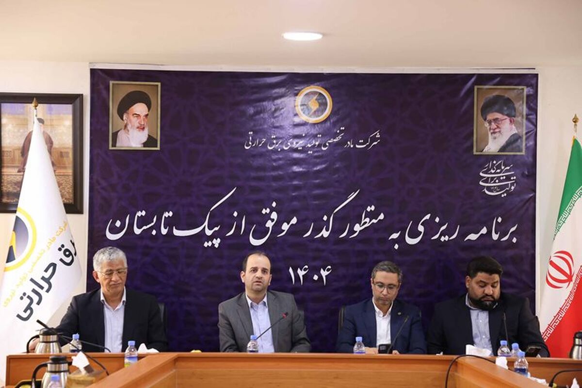 مدیرعامل شرکت برق حرارتی