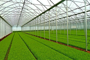 طراحی حسگر رطوبتی/ قابل کاربرد در گلخانه‌ها و محیط‌های پزشکی