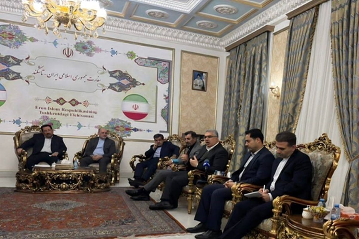 سازمان توسعه تجارت