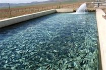 رهاسازی بیش از یک و نیم میلیون بچه ماهی گرم‌آبی در مزارع پرورش اردبیل