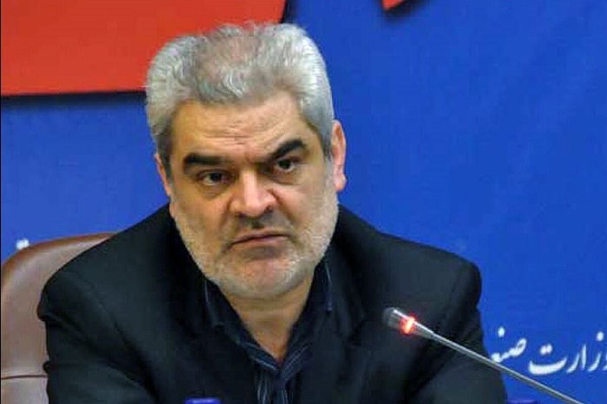 محسن صالحی نیا