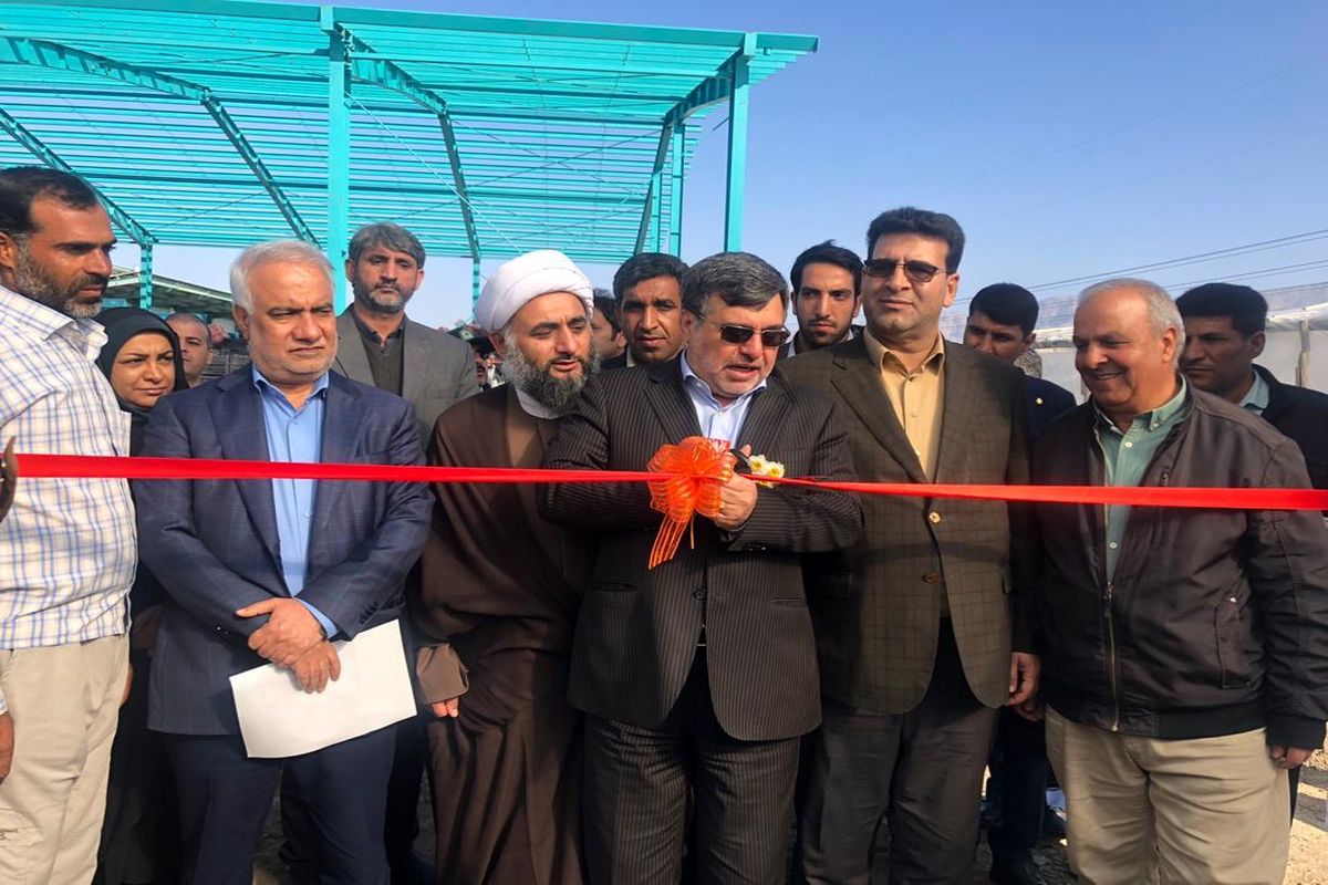 فریدون همتی