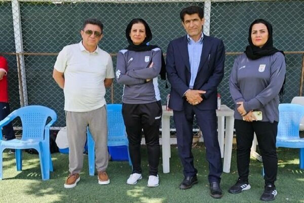 قلعه نویی