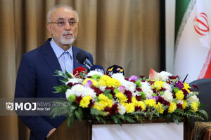 شهید لاریجانی، دولتمرد واقعی بود