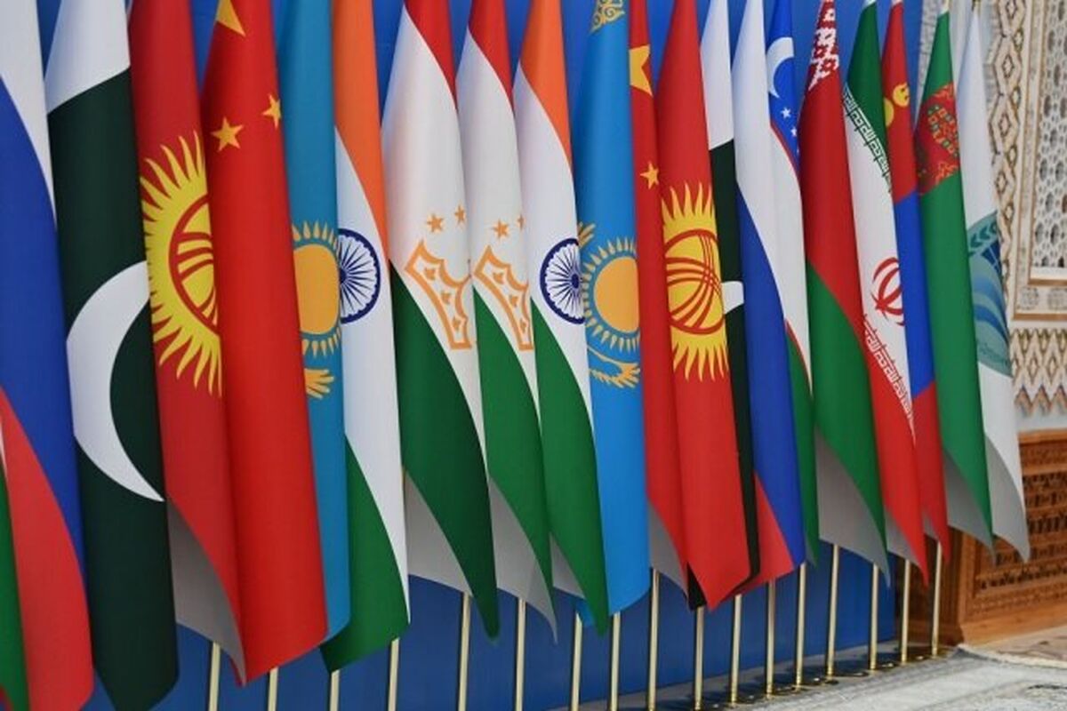 سازمان همکاری شانگهای