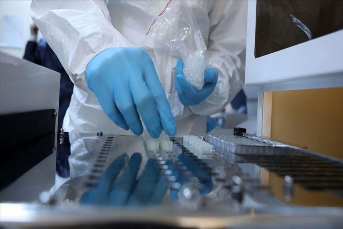 کیت‌های تشخیص سریع کرونا 