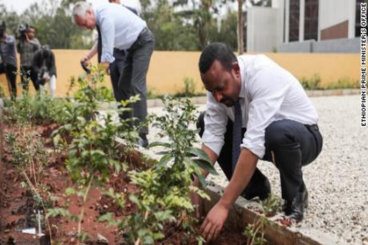 Planting trees in Ethiopia