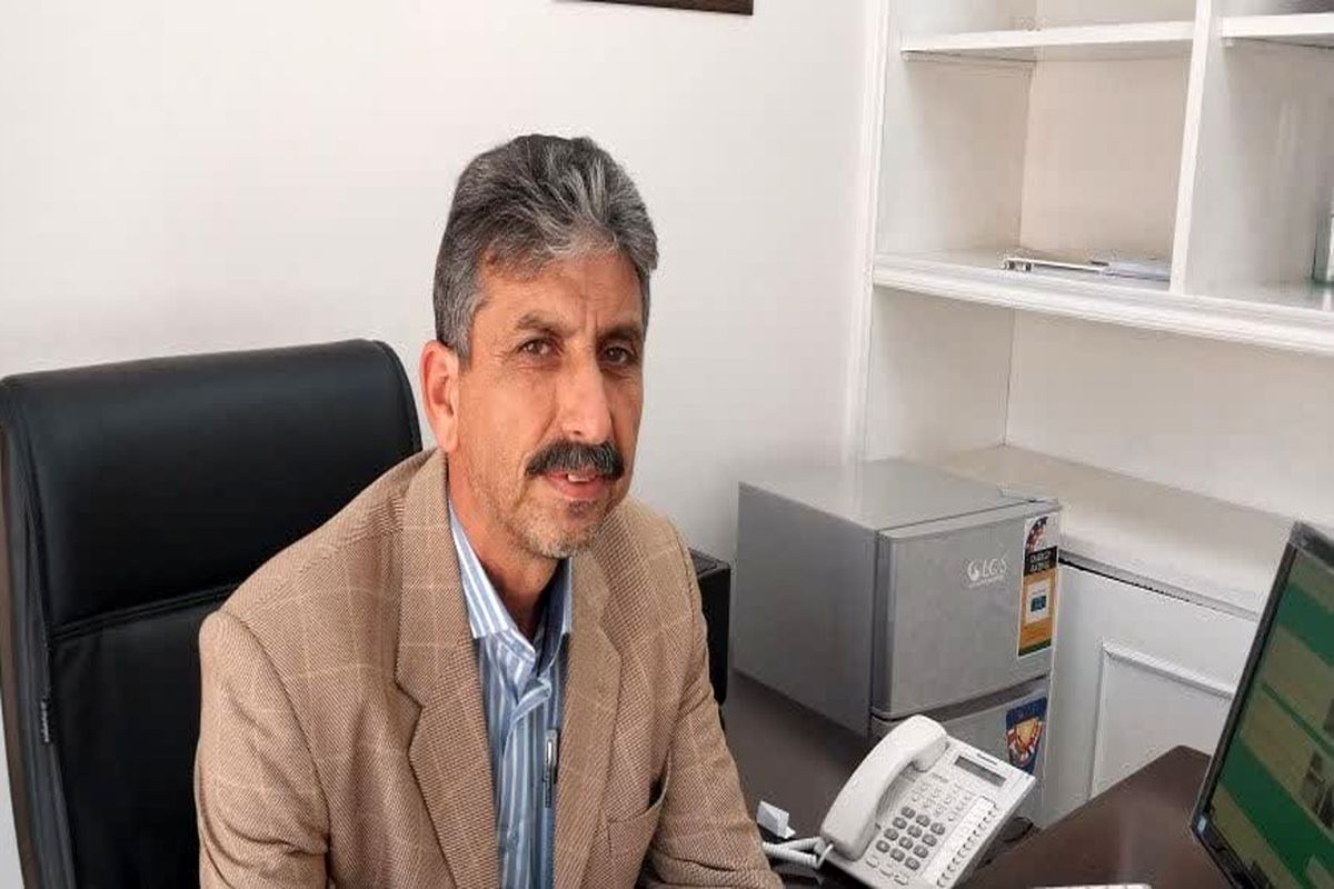 بیگی.