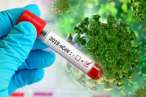 678 ابتلای جدید به ویروس کرونا در اصفهان / فوت  17 بیمار 