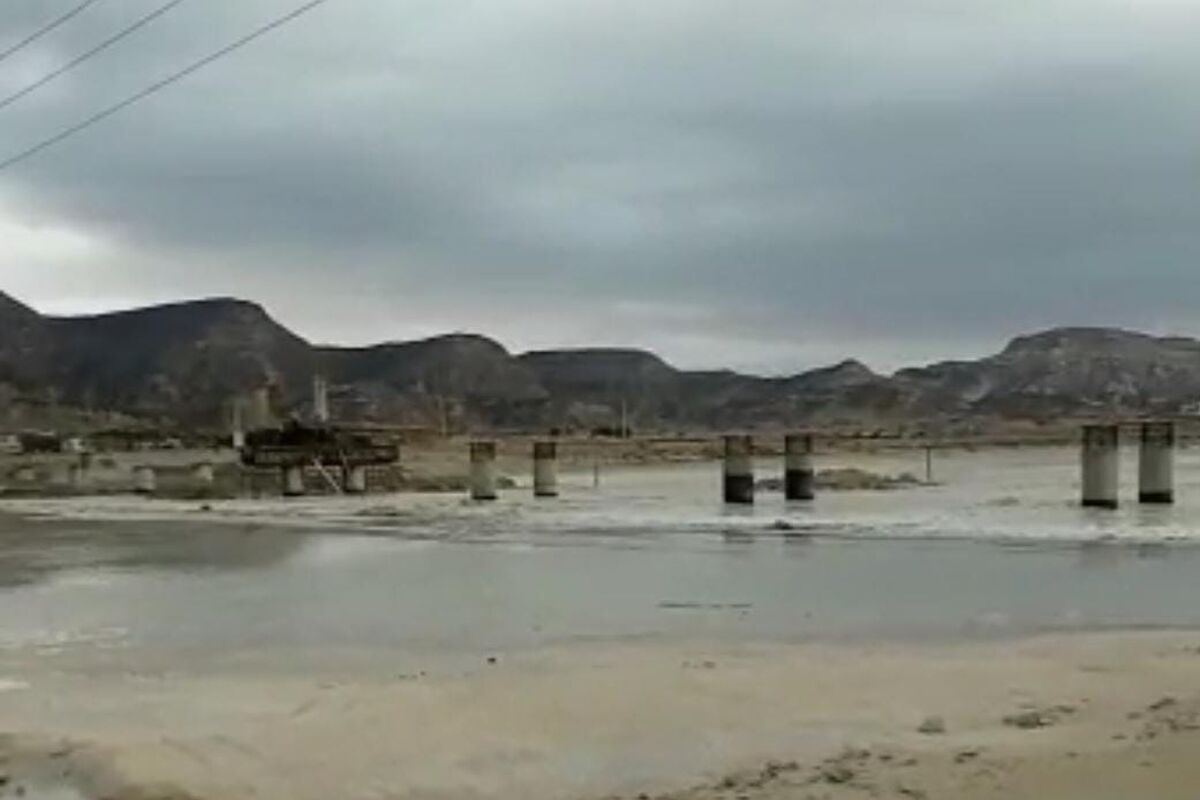 سیل آسا