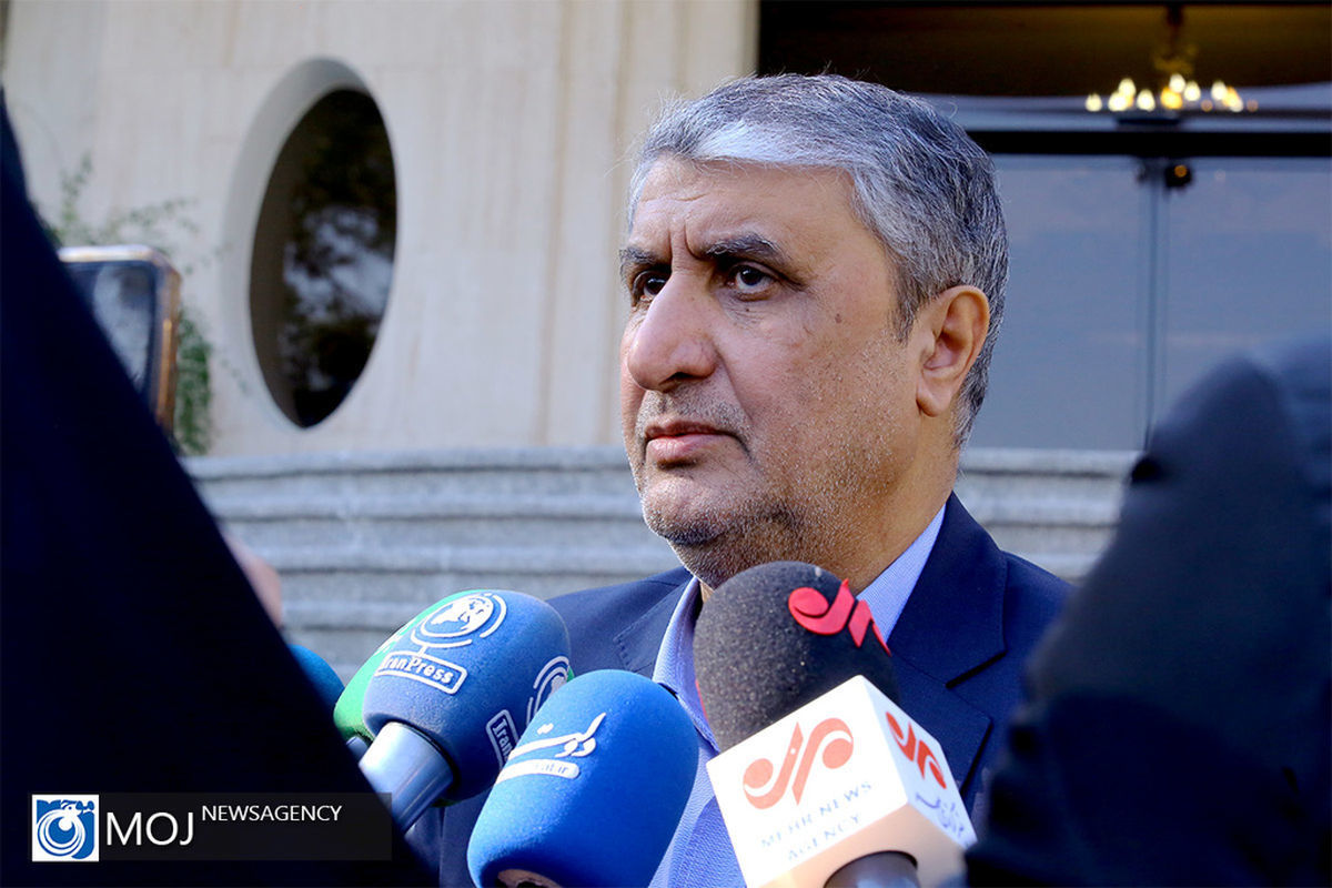 رئیس سازمان انرژی اتمی