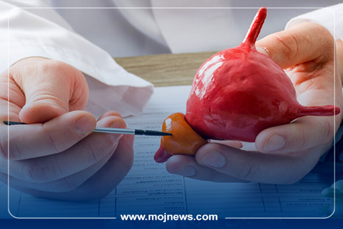 کاور اینفو2 copy