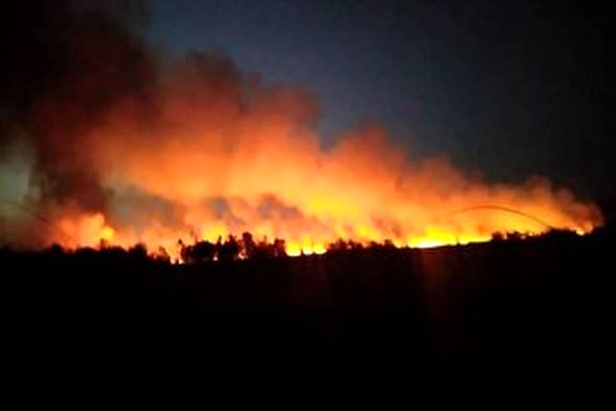 آتش سوزی تالاب امیر کلایه