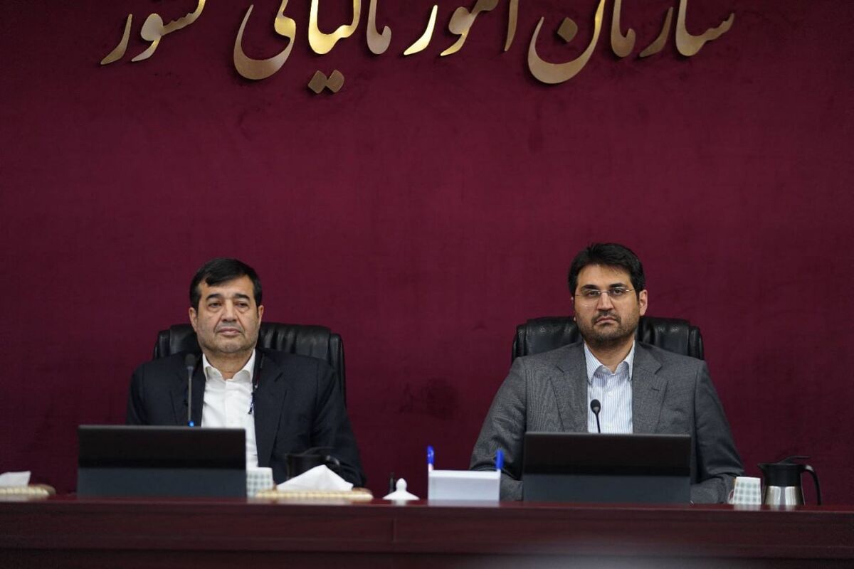 سازمان مالیاتی 