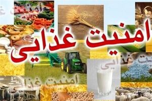 ایران به مرکزیت امنیت غذایی کشورهای منطقه تبدیل شود