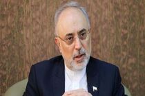 صالحی درگذشت محمدرضا حکیمی را تسلیت گفت