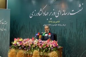 مسئول تنظیم قیمت میوه، ستاد تنظیم بازار است