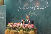مسئول تنظیم قیمت میوه، ستاد تنظیم بازار است