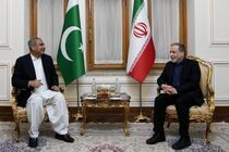 وزیر کشور پاکستان با عباس عراقچی گفتگو کردند