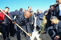 استقلالی ها با کاشت درخت در اراک، مقام مادر را گرامی داشتند