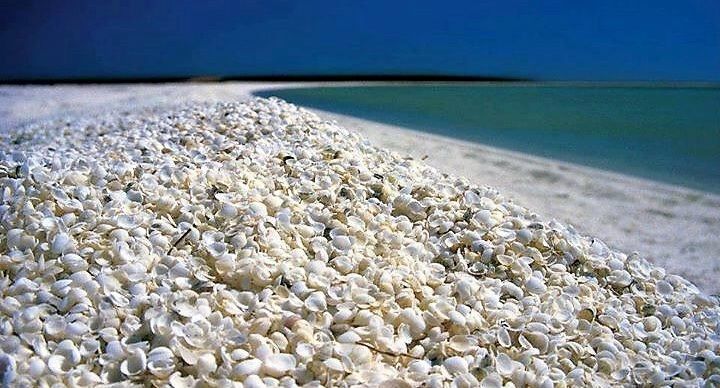 بندرلنگه، عروس بندرهای خلیج فارس/جاذبههای گردشگری بندرلنگه را بهتر بشناسید