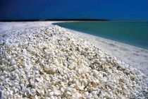 بندرلنگه، عروس بندرهای خلیج فارس/جاذبه‌های گردشگری بندرلنگه را بهتر بشناسید