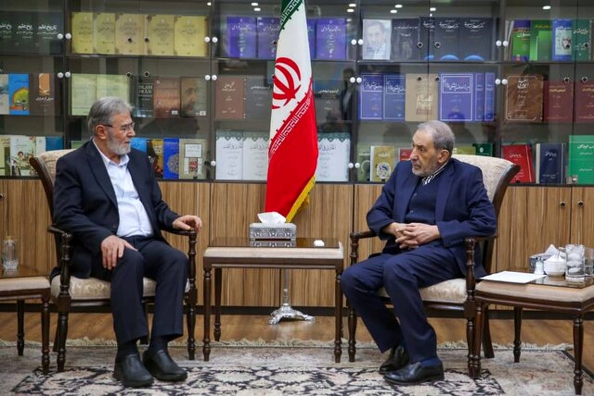ولایتی