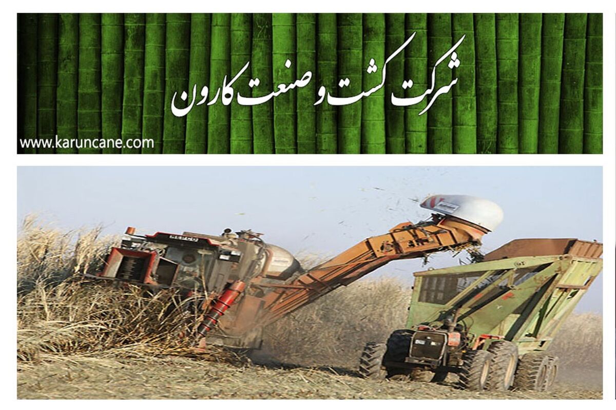 کشت و صنعت کارون