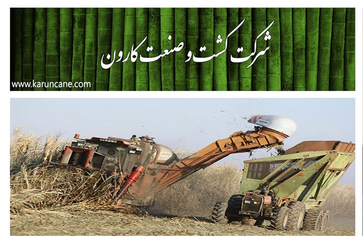 کشت و صنعت کارون