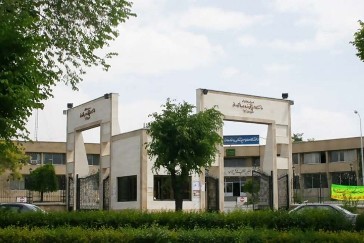 دانشجو