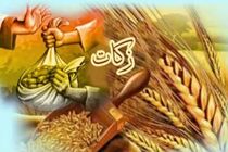 زکات مردم اراک به بیش از ۱۱ میلیارد تومان رسید