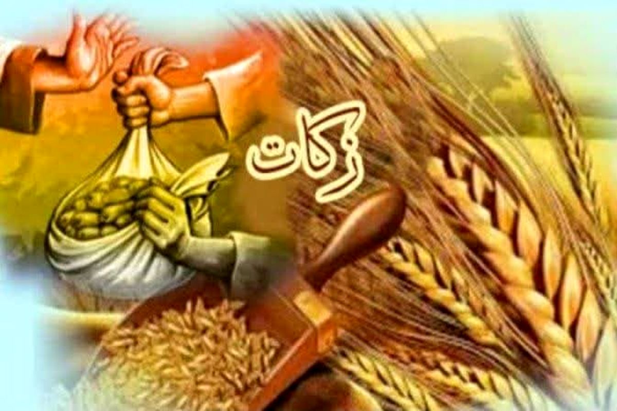 عکس خبرزکات