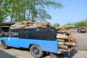 کشف چوب قاچاق در آستانه‌اشرفیه