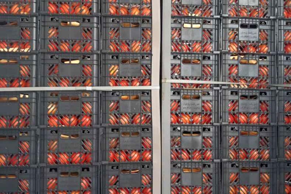 کالای قاچاق یک