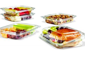 تولید بسته بندی نانوکامپوزیتی ضد میکروب