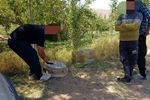 دستگیری متخلفان زنده‌گیری پرندگان در بروجن