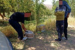 دستگیری متخلفان زنده‌گیری پرندگان در بروجن