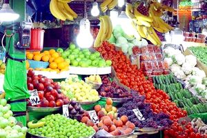 صادرات میوه به عربستان از سرگرفته شد