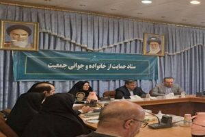 لزوم اجرای مشوق‌های واقعی برای فرزندآوری