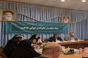 لزوم اجرای مشوق‌های واقعی برای فرزندآوری