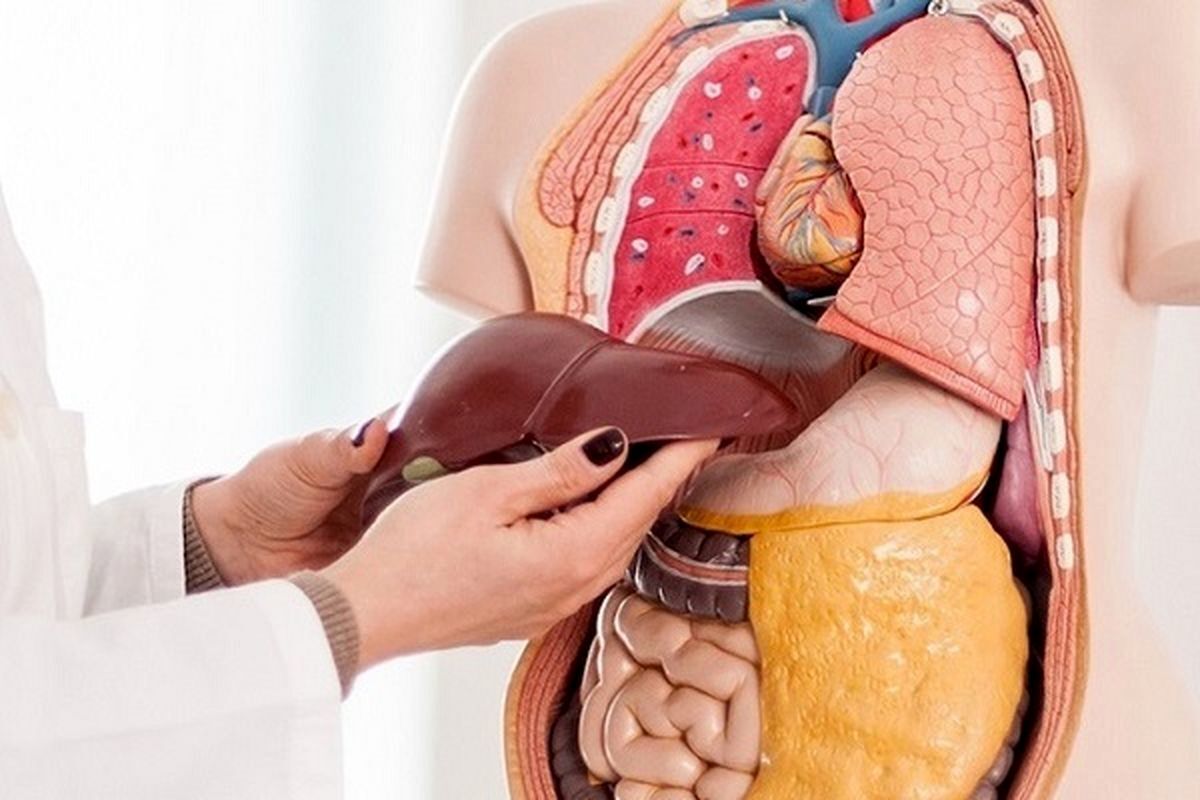 کثیف_ترین+عضو+بدن+را+بشناسید