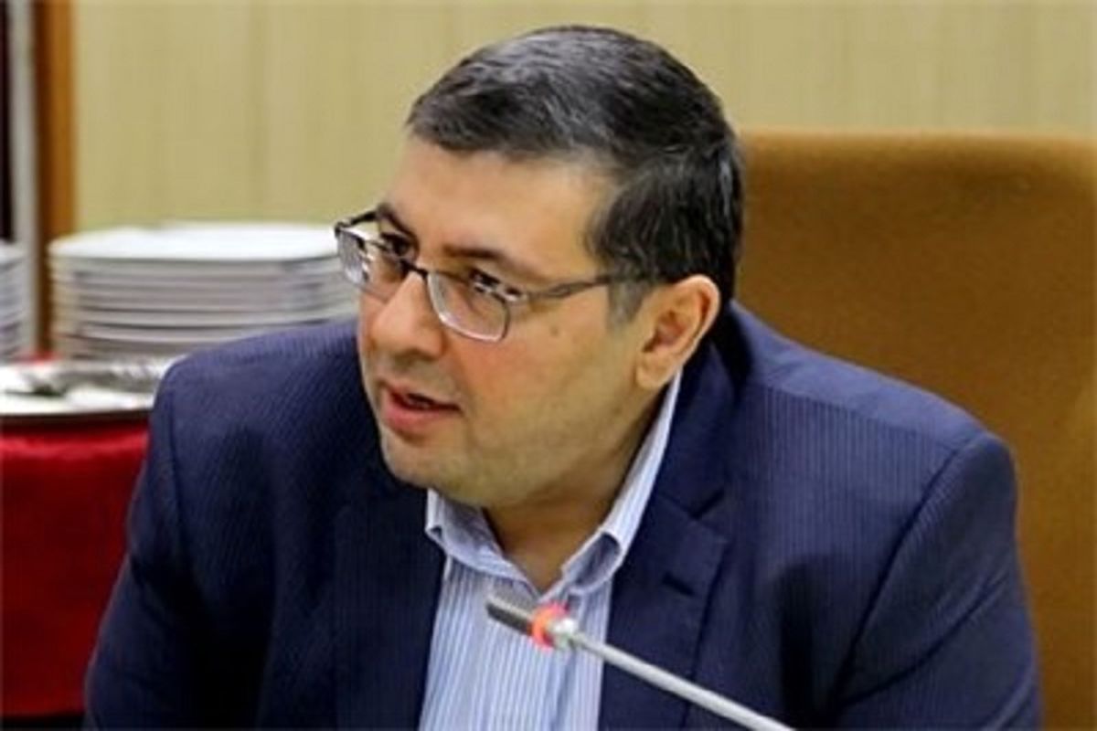 سید امیرمحسن ضیائی