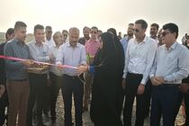 افتتاح مزرعه ۲۰ هکتاری پرورش میگو در جاسک؛ گامی مؤثر در توسعه اقتصادی و ایجاد اشتغال
