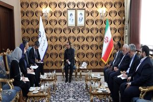 تاکید بر توسعه مراودات تجاری و تسریع در اجرای موافقت نامه‌های گمرکی و مالیاتی ایران و ژاپن
